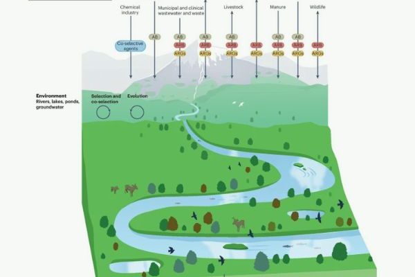 Publication Nature Sustainability Janvier 2026