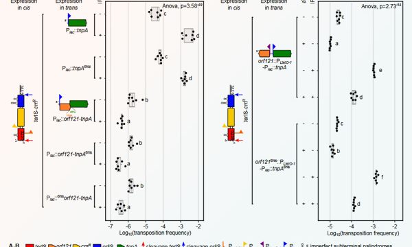 Publication RESINFIT Mars 2026