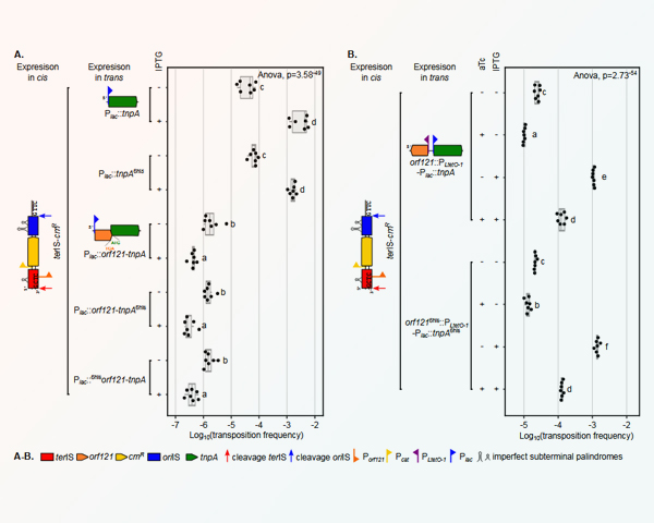 Publication RESINFIT Mars 2026