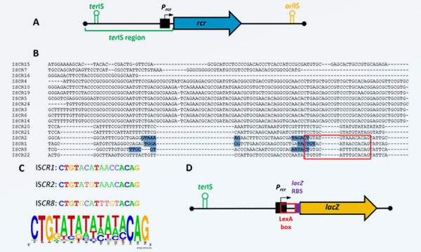 Publication RESINFIT microbiologie juin 2026
