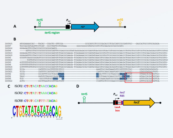 Publication RESINFIT microbiologie juin 2026