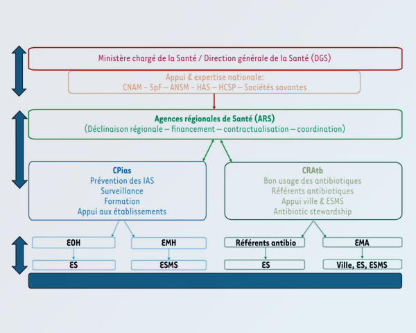 Publication RESINFIT EU-JAMRAI Mai 2026