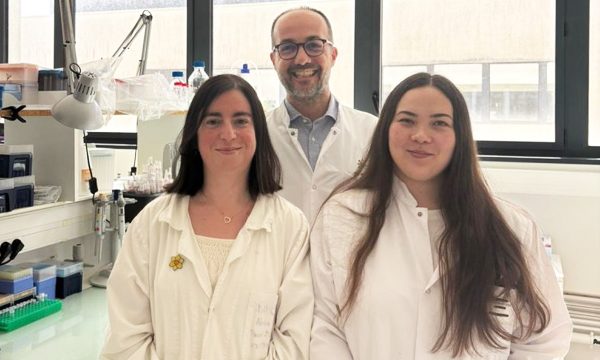 Projet recherche CMV glioblastome