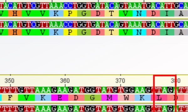publication RESINFIT Microbiology Spectrum
