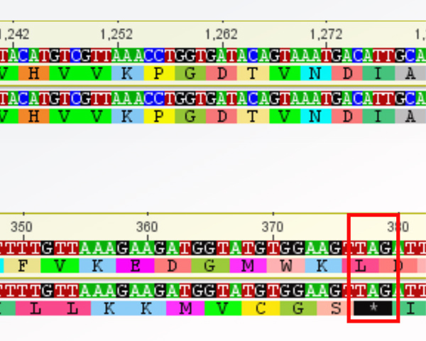 publication RESINFIT Microbiology Spectrum