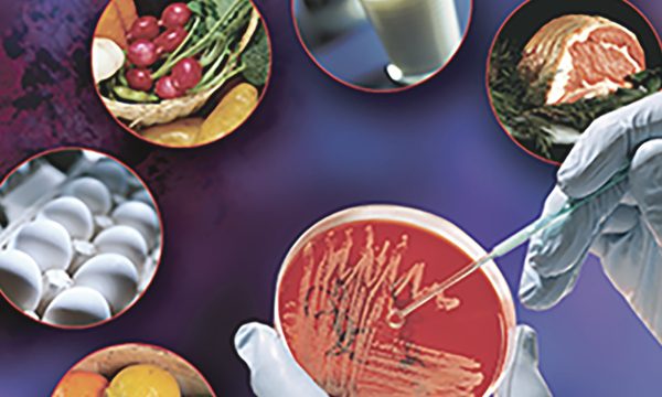 publi Food october 2026