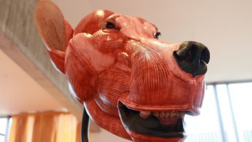 Exposition Paléosculptures : Ours des cavernes