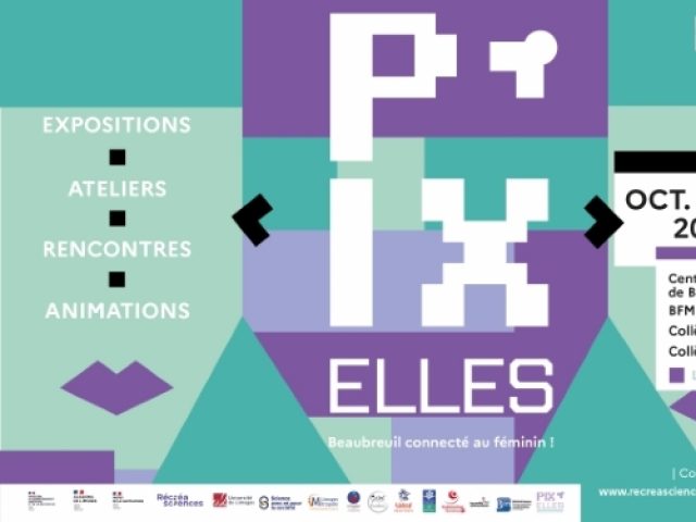 Affiche_pixelles