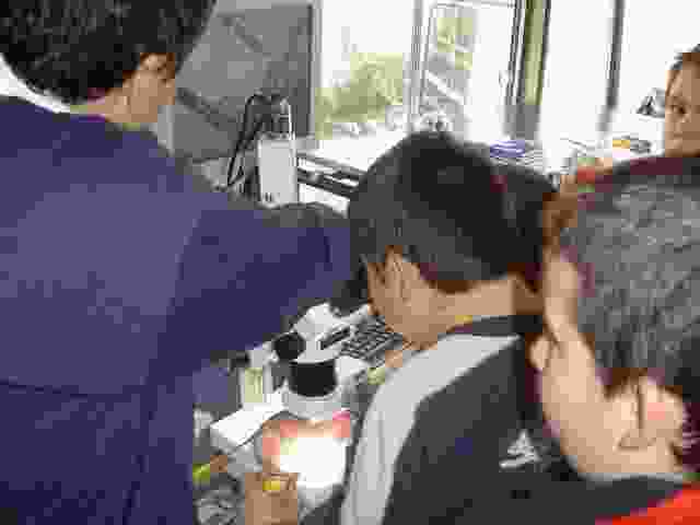 Enlarge DSC00304.JPG