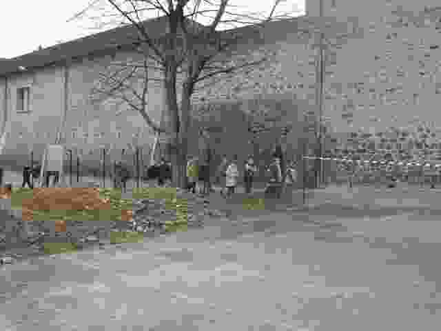 Enlarge P1290001.JPG