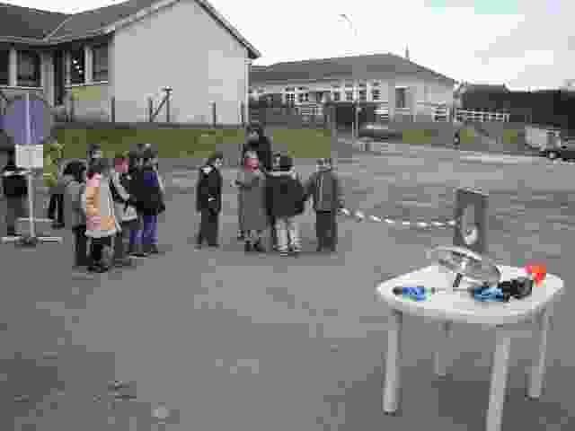 Enlarge P1290008.JPG