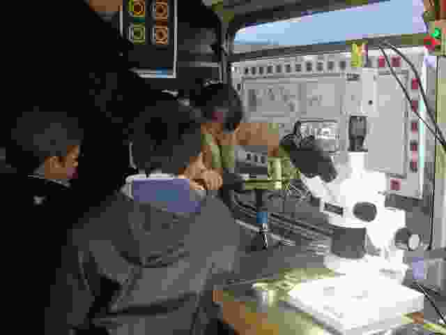 Enlarge P1290013.JPG