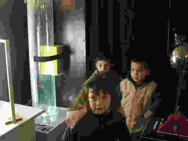 Enlarge P1290016.JPG