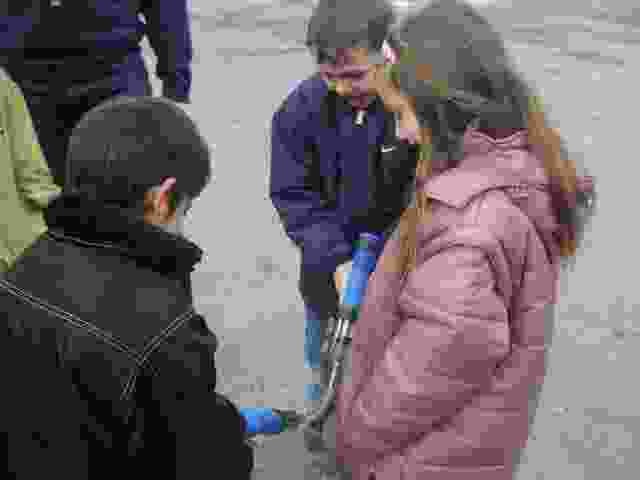 Enlarge P1290017.JPG