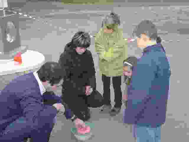 Enlarge P1290022.JPG