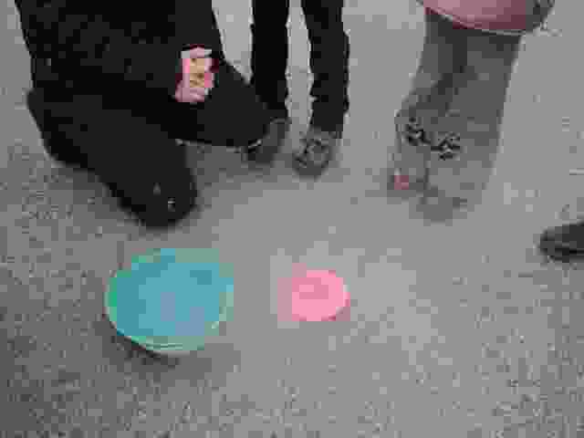 Enlarge P1290023.JPG