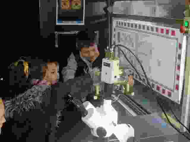 Enlarge P1290029.JPG