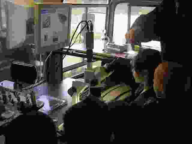 Enlarge P1290033.JPG