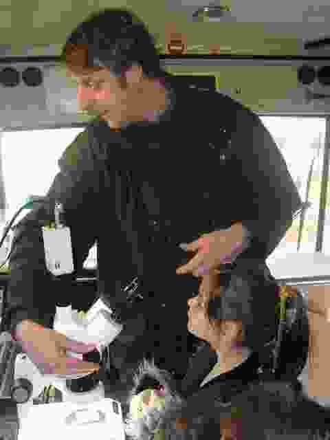 Enlarge P1290037.JPG