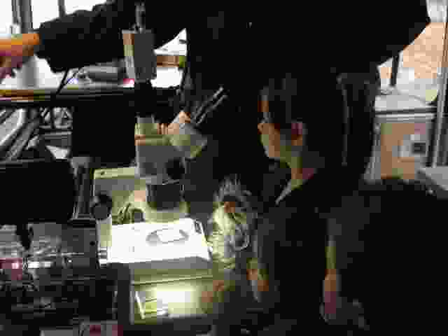 Enlarge P1290038.JPG