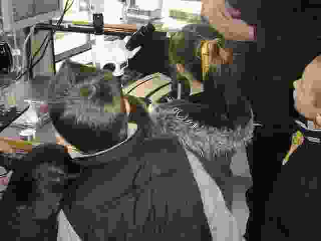 Enlarge P1290040.JPG