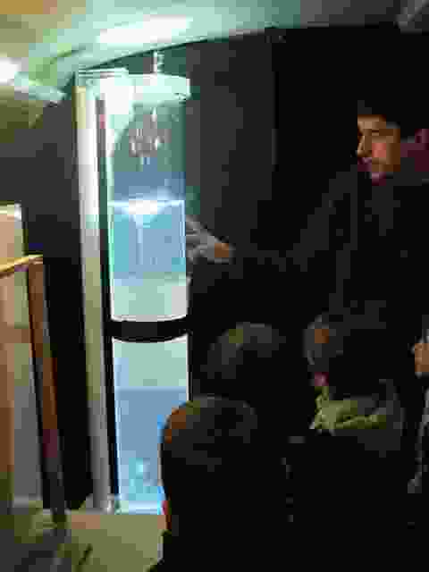 Enlarge P1290045.JPG