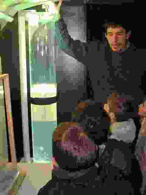 Enlarge P1290046.JPG