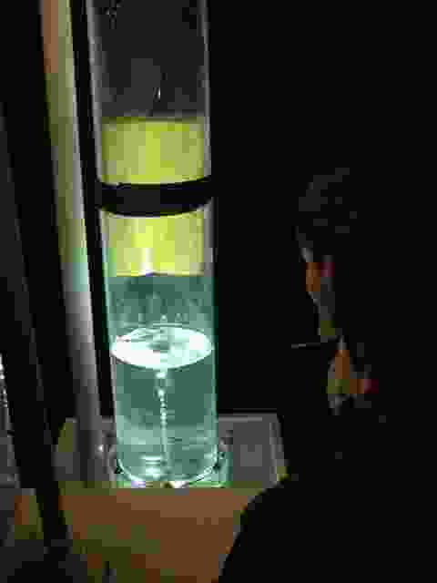 Enlarge P1290047.JPG