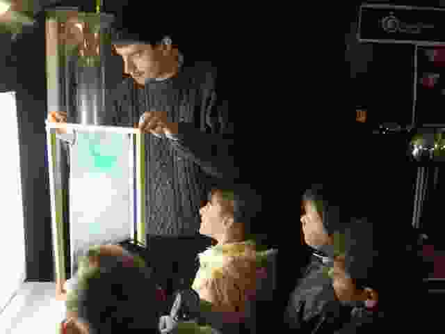 Enlarge P1290048.JPG