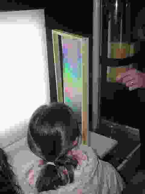 Enlarge P1290050.JPG