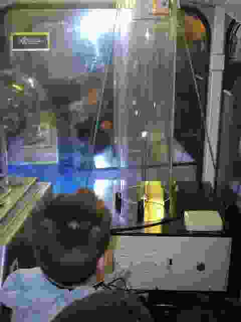 Enlarge P1290052.JPG