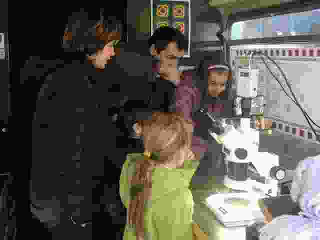 Enlarge P1290056.JPG