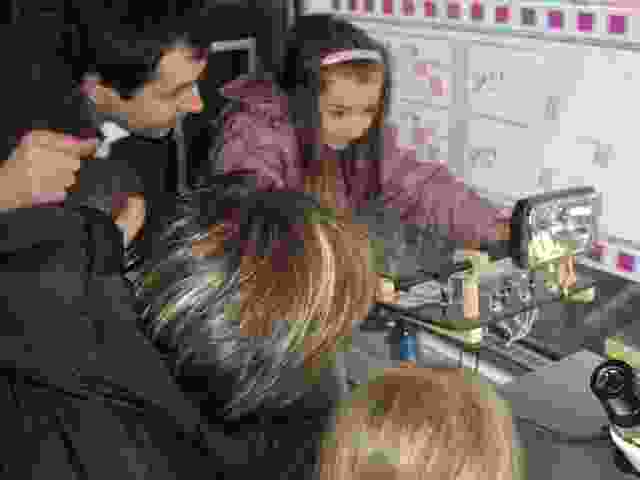 Enlarge P1290057.JPG