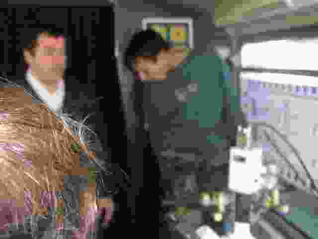 Enlarge P1290065.JPG