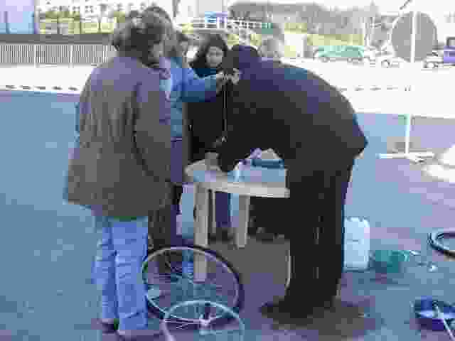 Enlarge P1290067.JPG