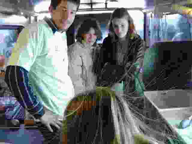 Enlarge Dautry_012.JPG