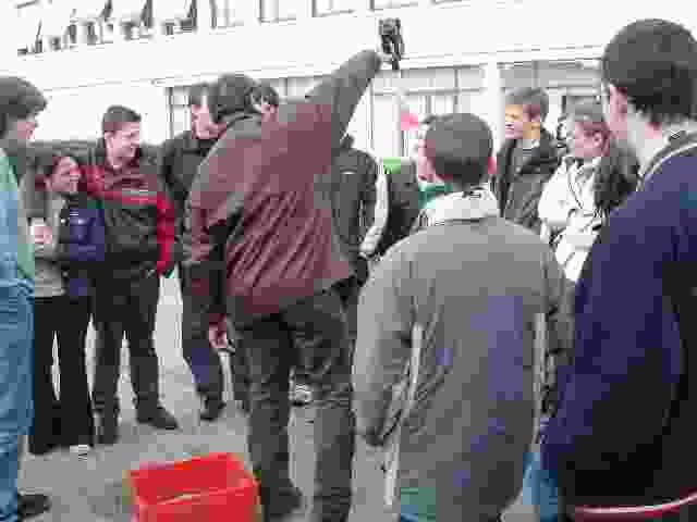 Enlarge Dautry_056.JPG