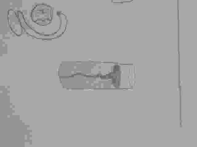 Enlarge DSC00369.JPG