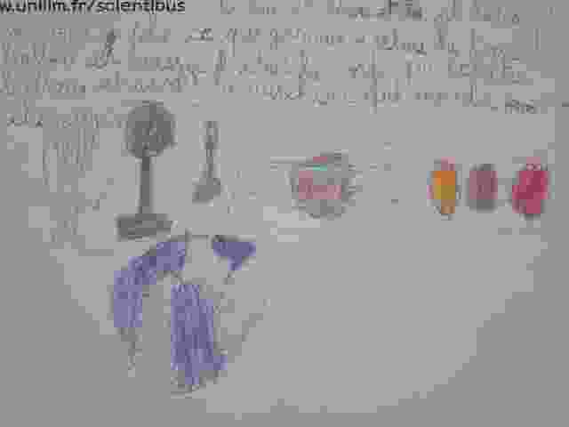 Enlarge DSC00383.JPG