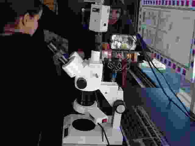 Enlarge eymoutiers12.jpg