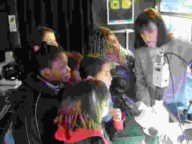 Enlarge DSC03002.JPG