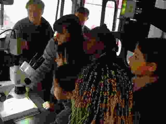 Enlarge DSC03008.JPG