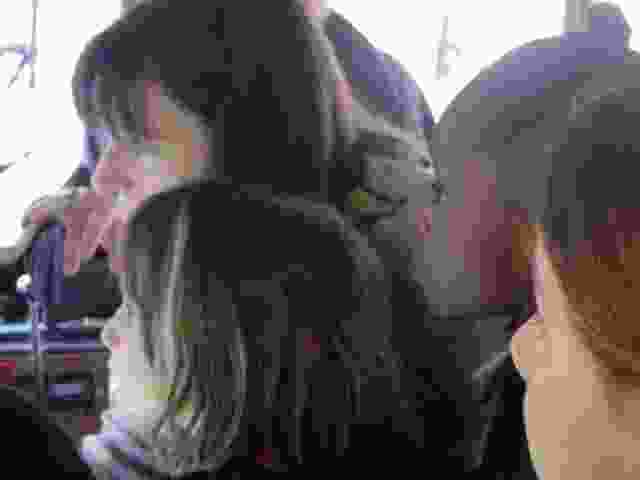 Enlarge DSC03009.JPG