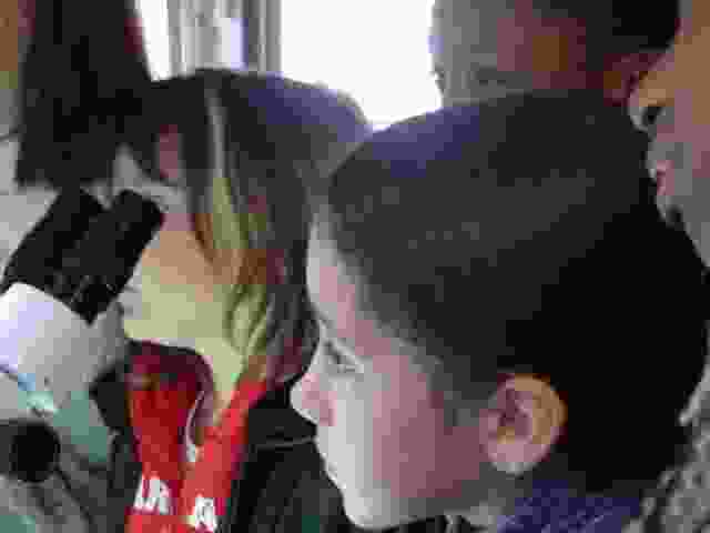 Enlarge DSC03010.JPG