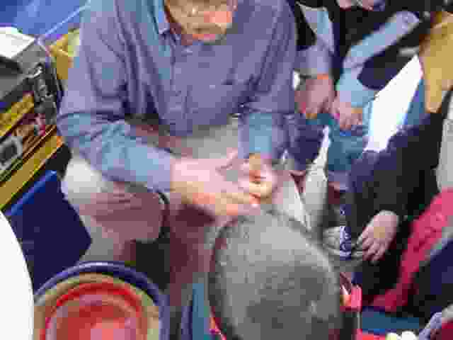 Enlarge DSC03035.JPG