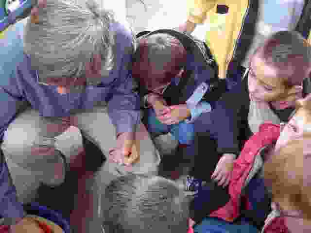 Enlarge DSC03036.JPG