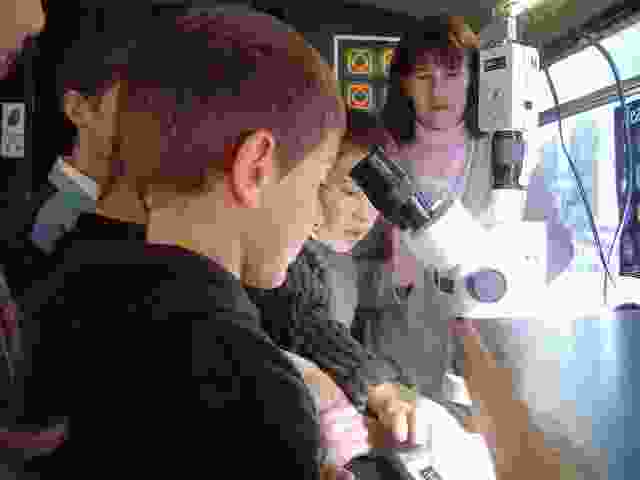 Enlarge DSC03048.JPG