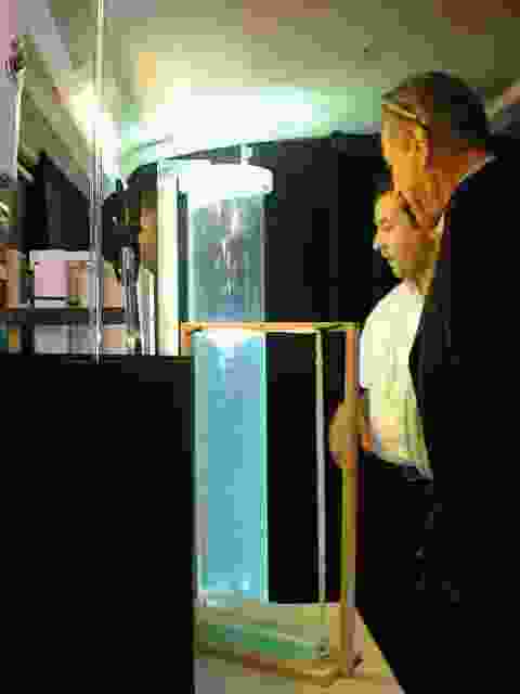 Enlarge gennes49.JPG