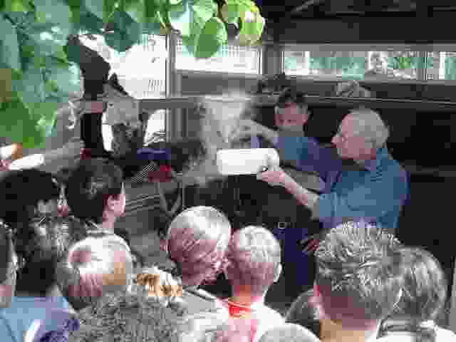 Enlarge Pierre_Buffiere_020.jpg