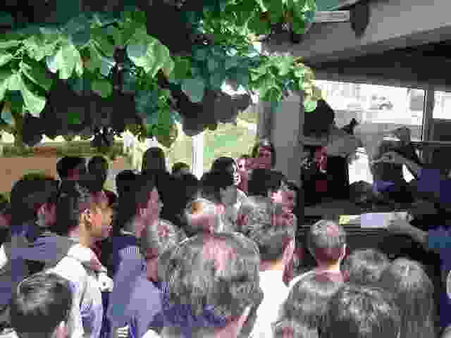 Enlarge Pierre_Buffiere_025.jpg